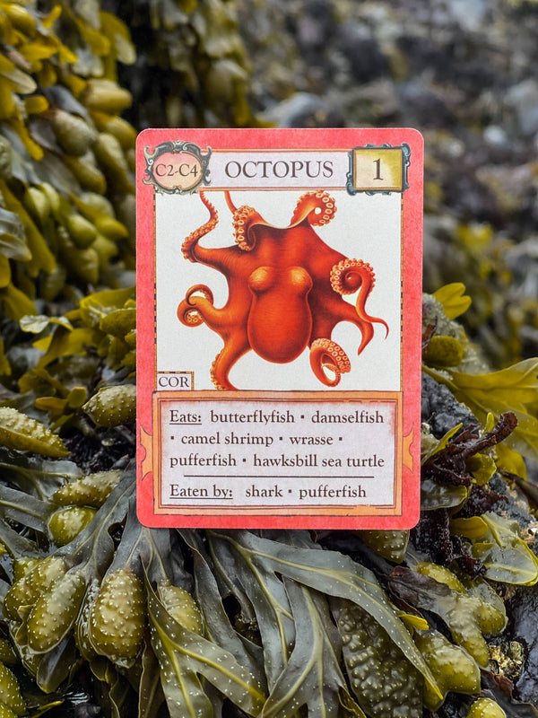 Ecologies: Hidden Habitats - Card Game