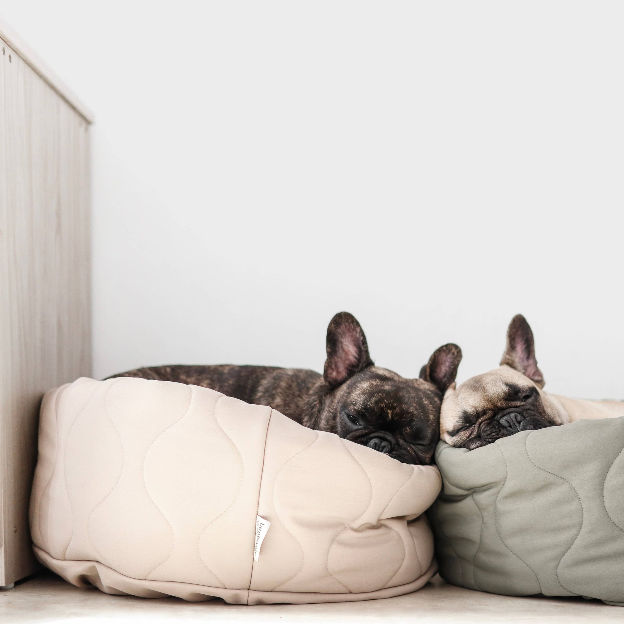 Lambwolf Collective - TAART Reversible Petite Pet Bed - Fern