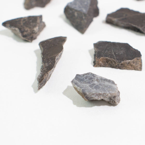 Suevite Fragment