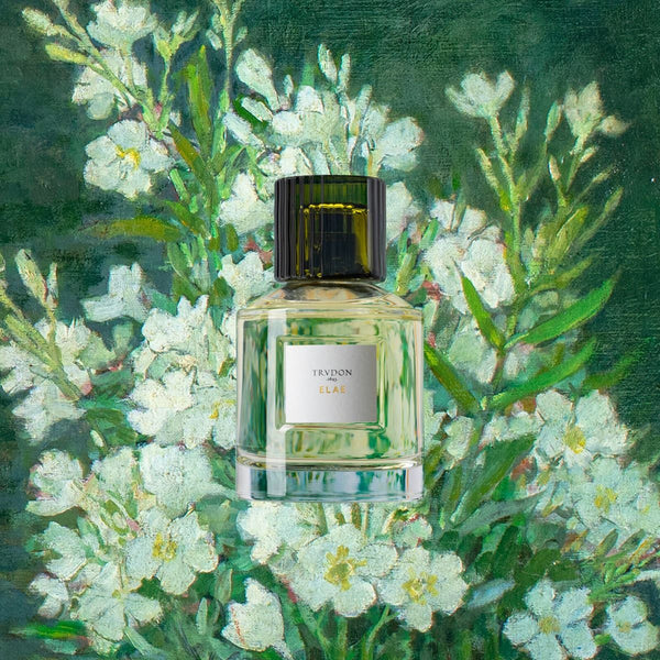 Trudon - Elae