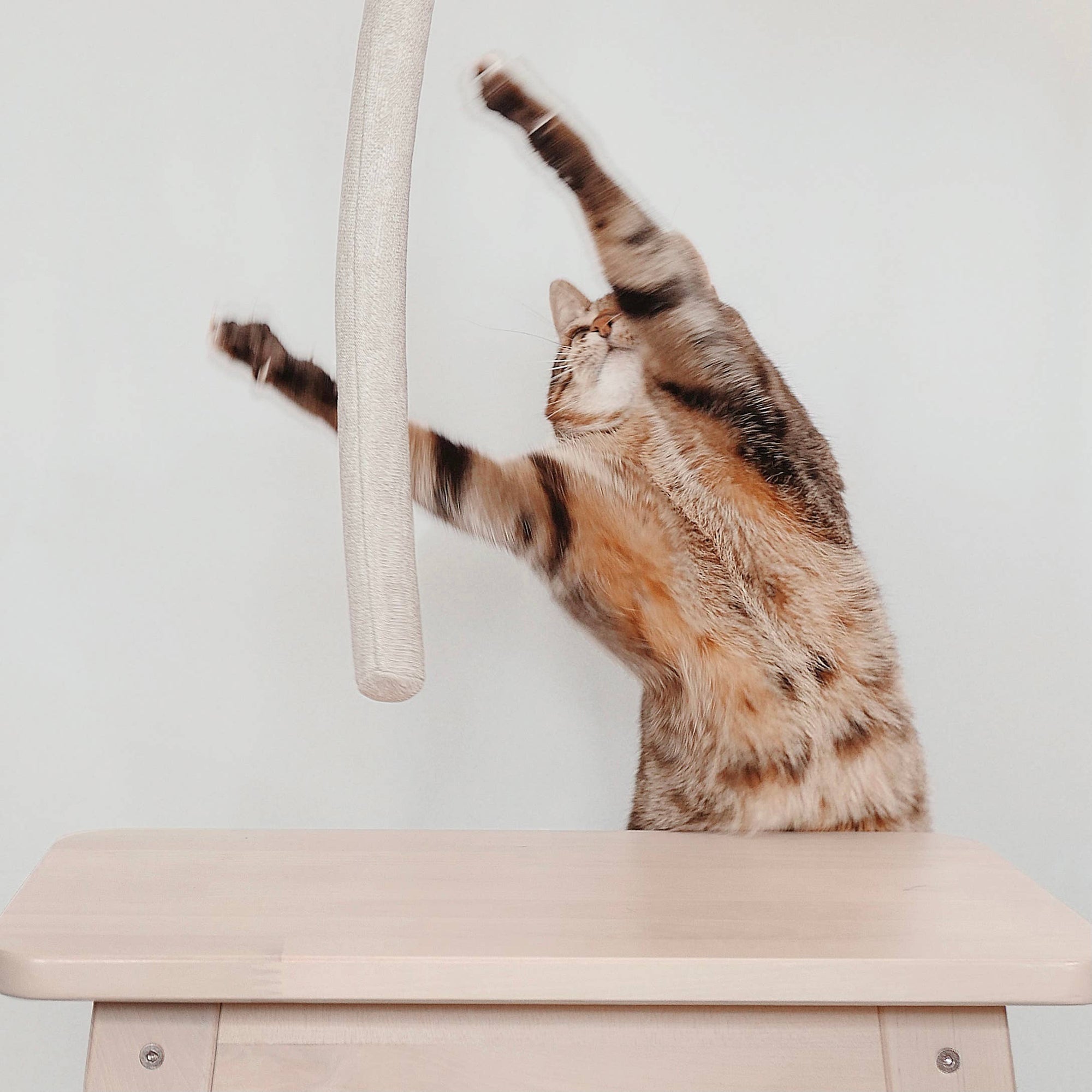 Lambwolf Collective - Nounou | gray with bell balls//ENRICHMENT DOG TOY