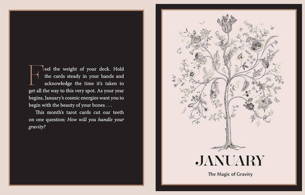 The Tarot Almanac: A Seasonal Guide to Divining by Bess Matassa