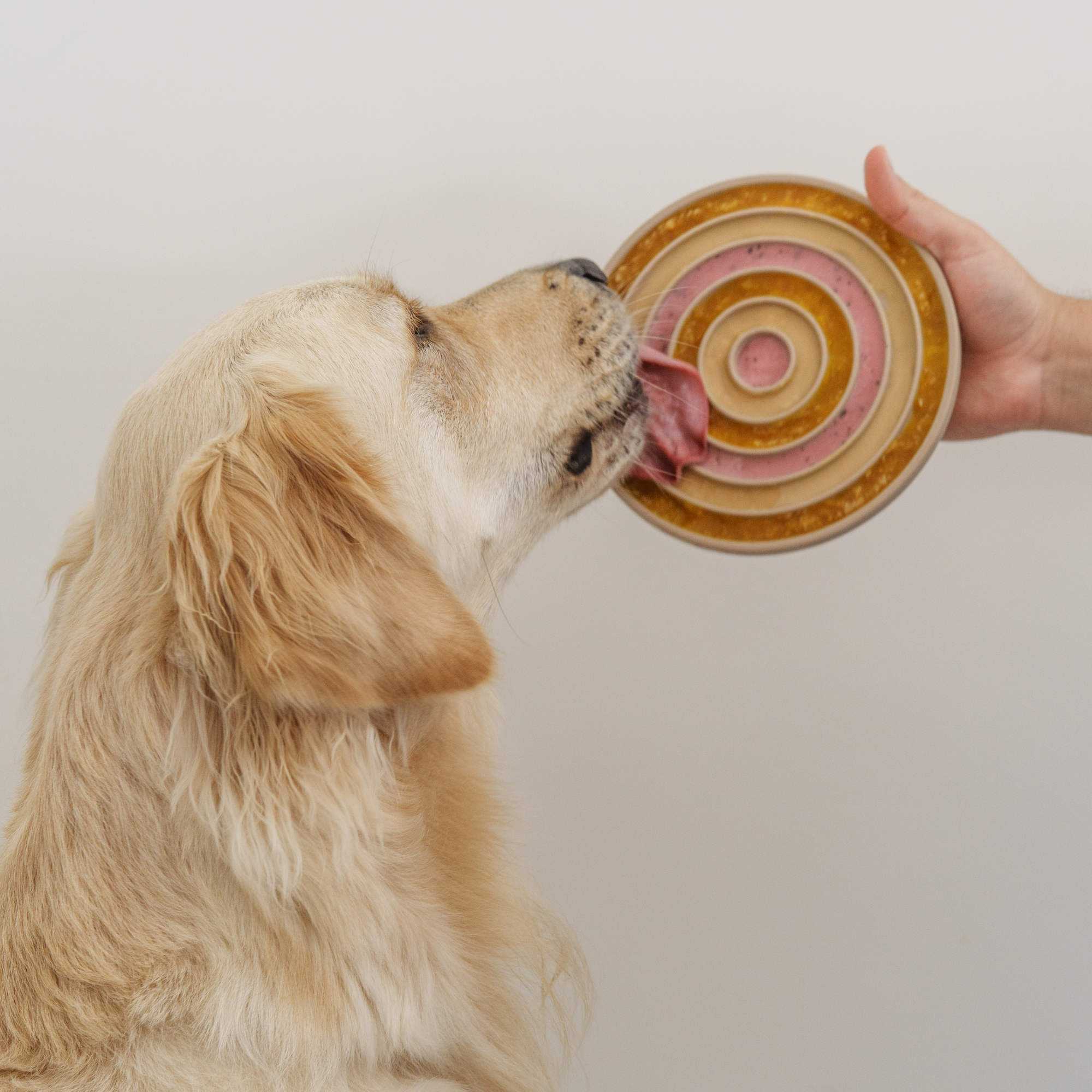 Lambwolf Collective - 3-IN-1 Bento - Lick Mat + Slowfeeder - Dunes