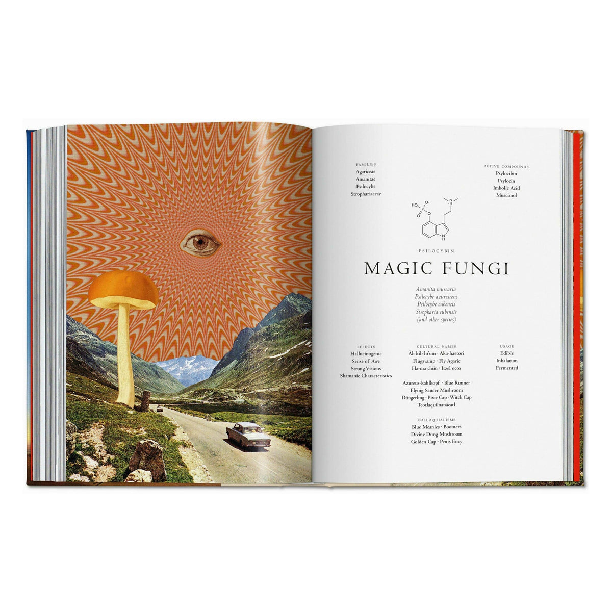 The Library of Esoterica - Plant Magick  (English)