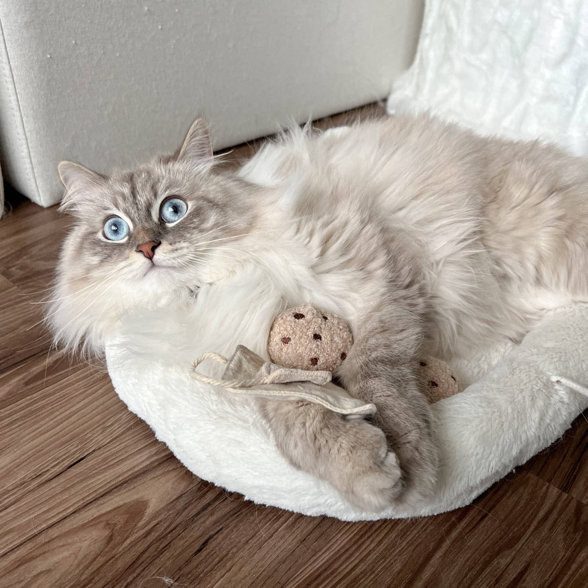 Lambwolf Collective - Catnip Cat Toy - Kitty Tea Time