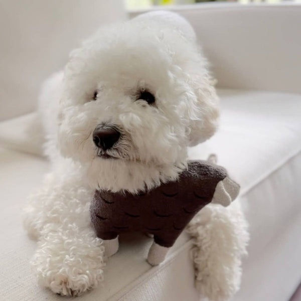Lambwolf Collective - Squeaky + Cuddle Dog Toy - Barry