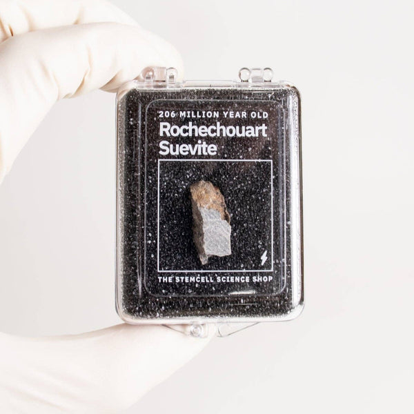 Suevite Fragment