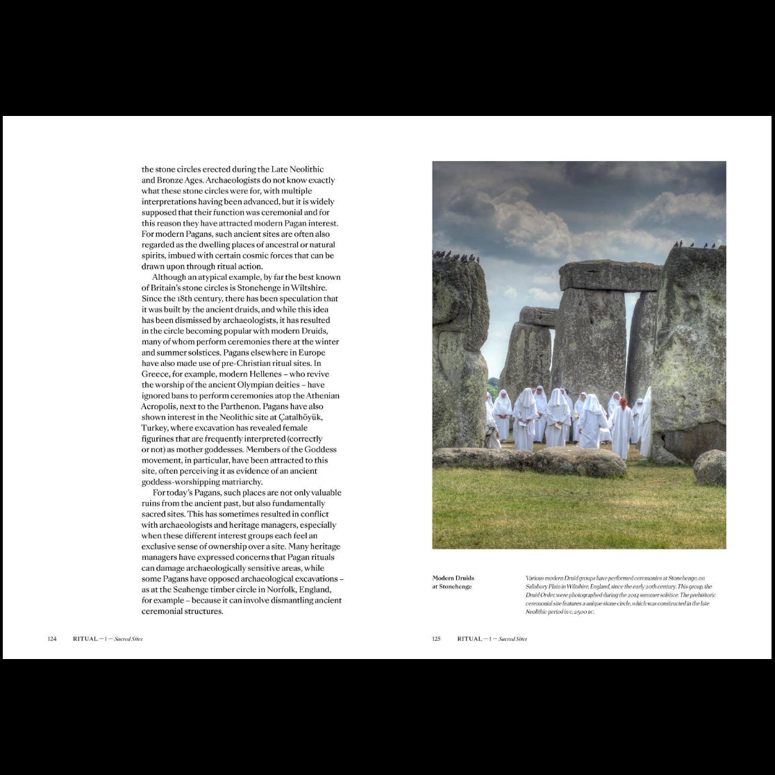 Pagans: The Visual Culture of Pagan Myths, Legends and Rituals by Ethan Doyle White