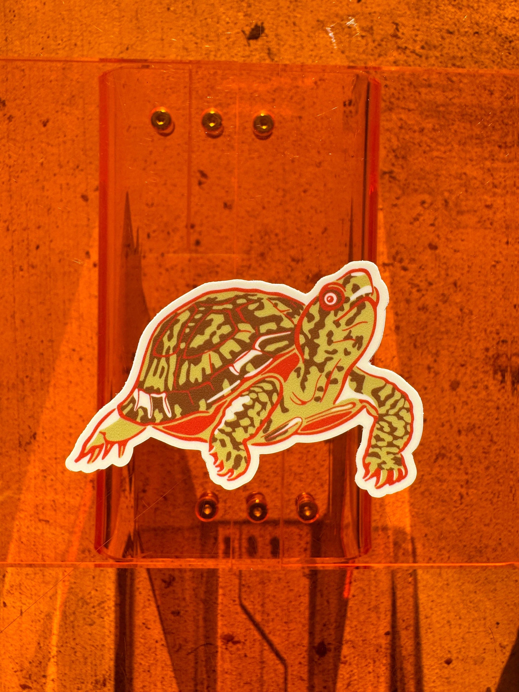 Long Lost Studio - Turtle Sticker