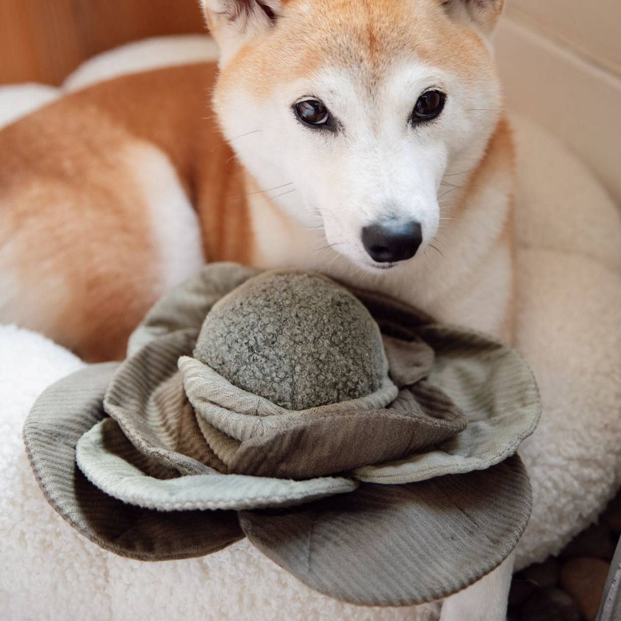 Lambwolf Collective -  Enrichment Dog Toy (Squeaky + Snuffle Ball) - Red Cabbage Pop