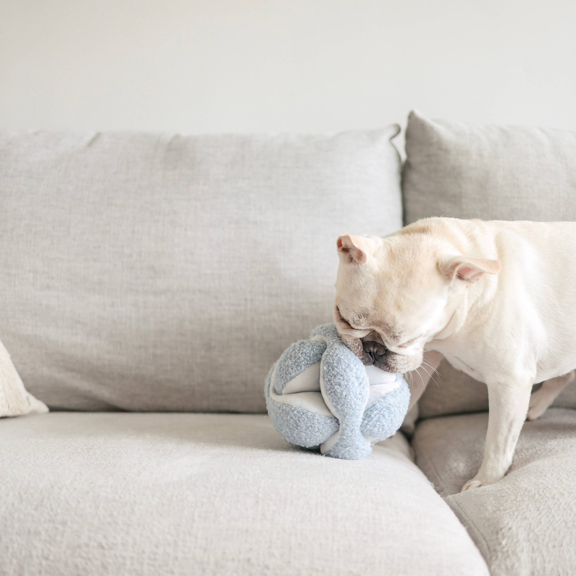 Lambwolf Collective - Monti Enrichment Dog Toy - Baby Blue
