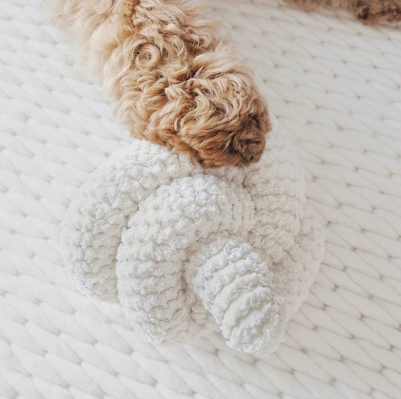 Lambwolf Collective - Nou Enrichment Dog Toy - Cream at Space Camp in Portland, Oregon