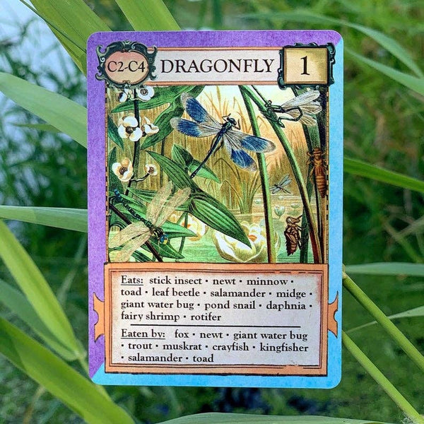 Ecologies: Bizarre Biomes - Card Game