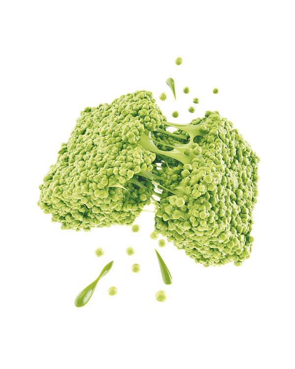 Promix - Protein Puff Bars - Matcha