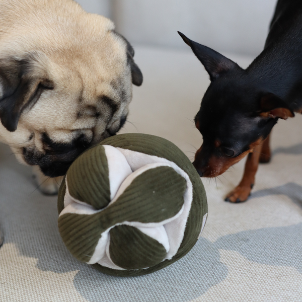 Lambwolf Collective - Monti Enrichment Dog Toy - Mint