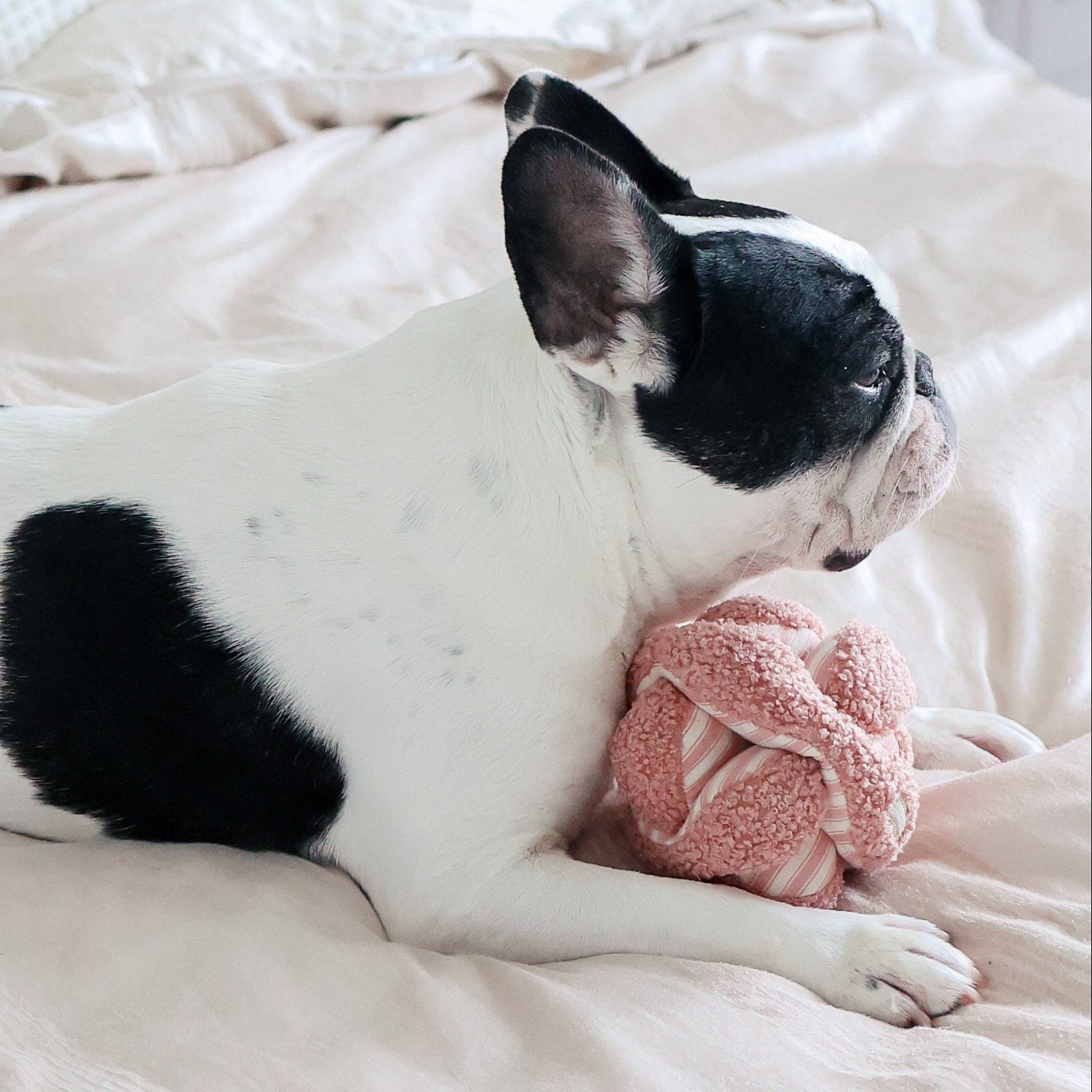 Lambwolf Collective - Mini Monti Enrichment Snuffle Dog Toy - Strawberry