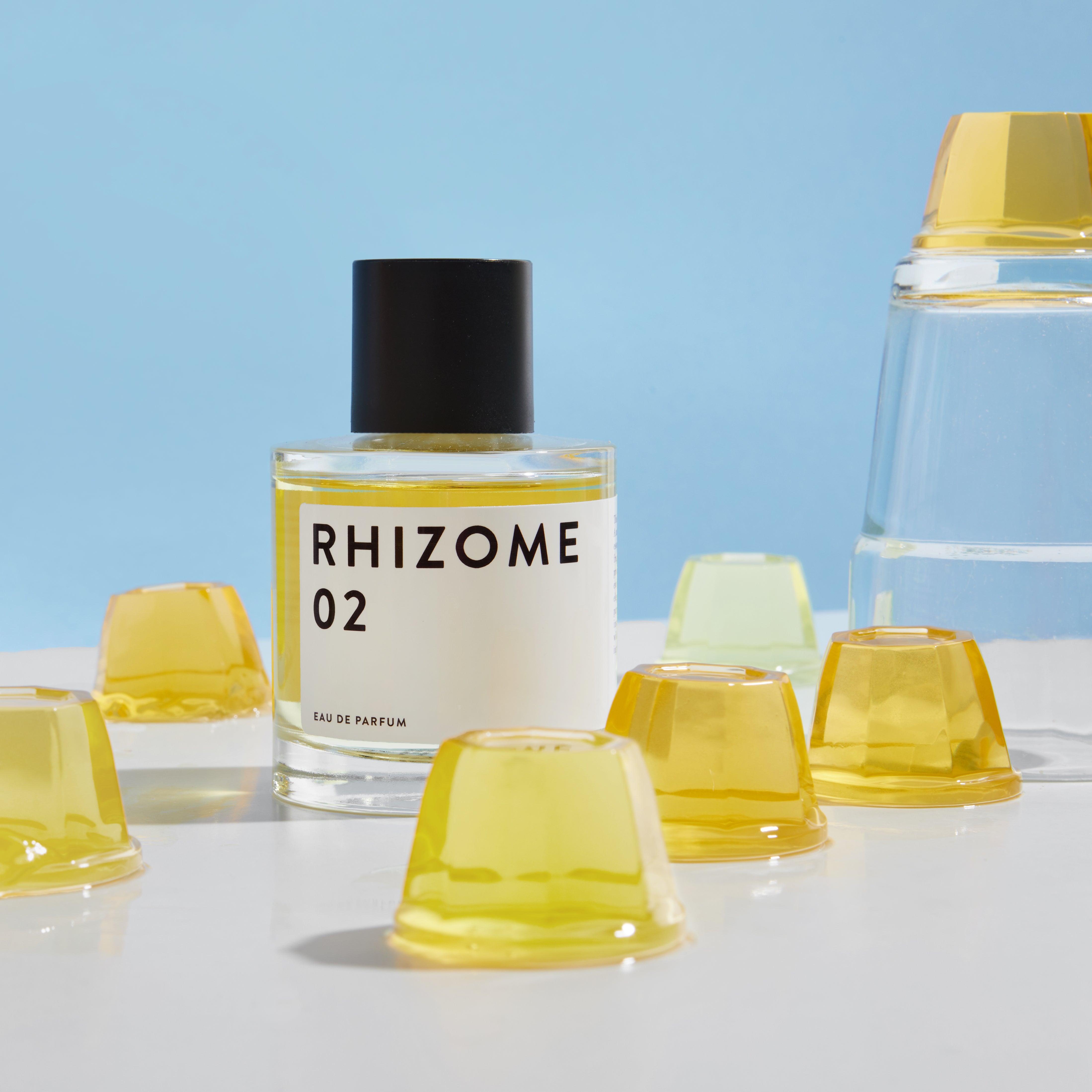 Rhizome 02 - Thumbnail 5