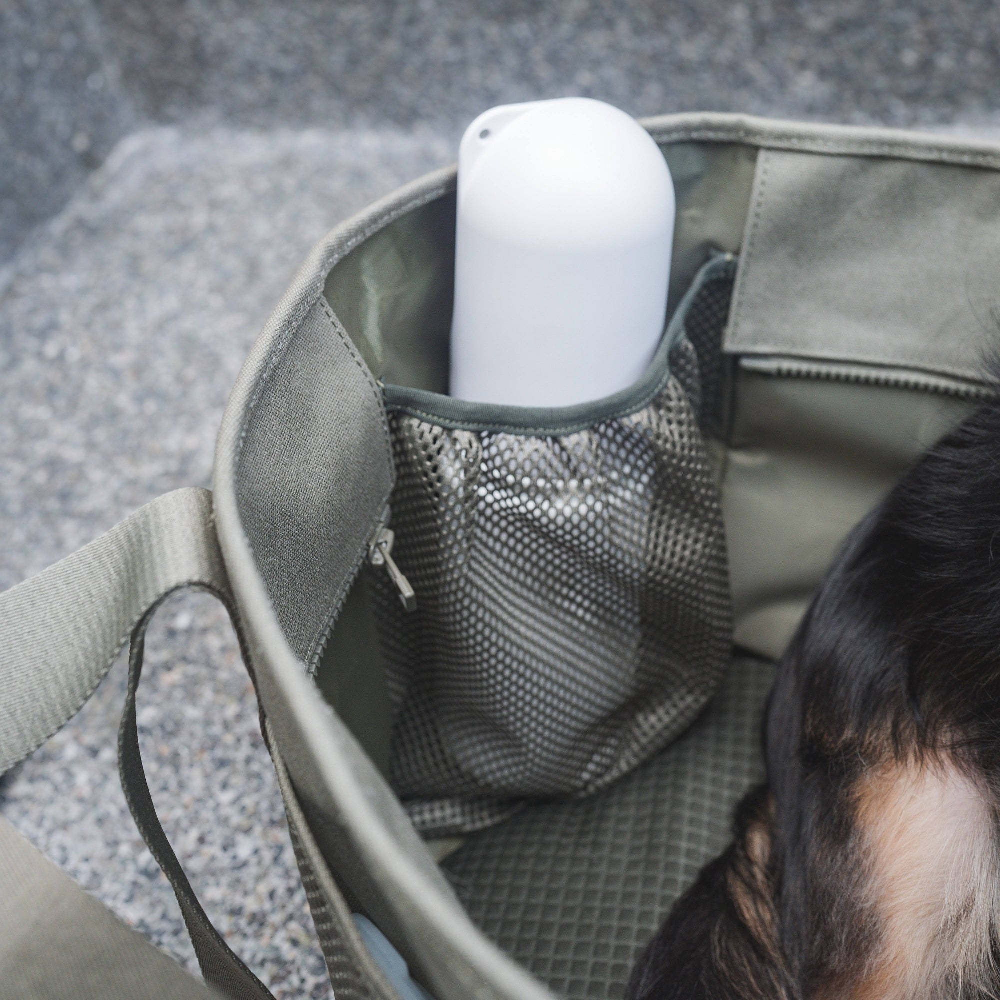 Lambwolf Collective - Subway Pet Carrier - Fern
