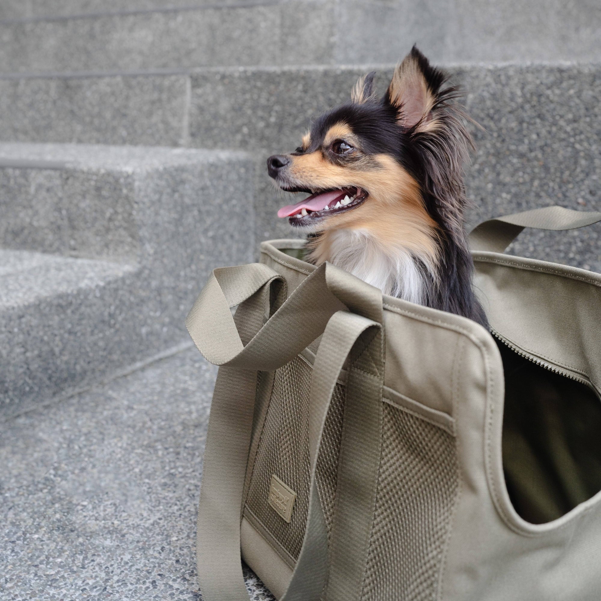 Lambwolf Collective - Subway Pet Carrier - Fern