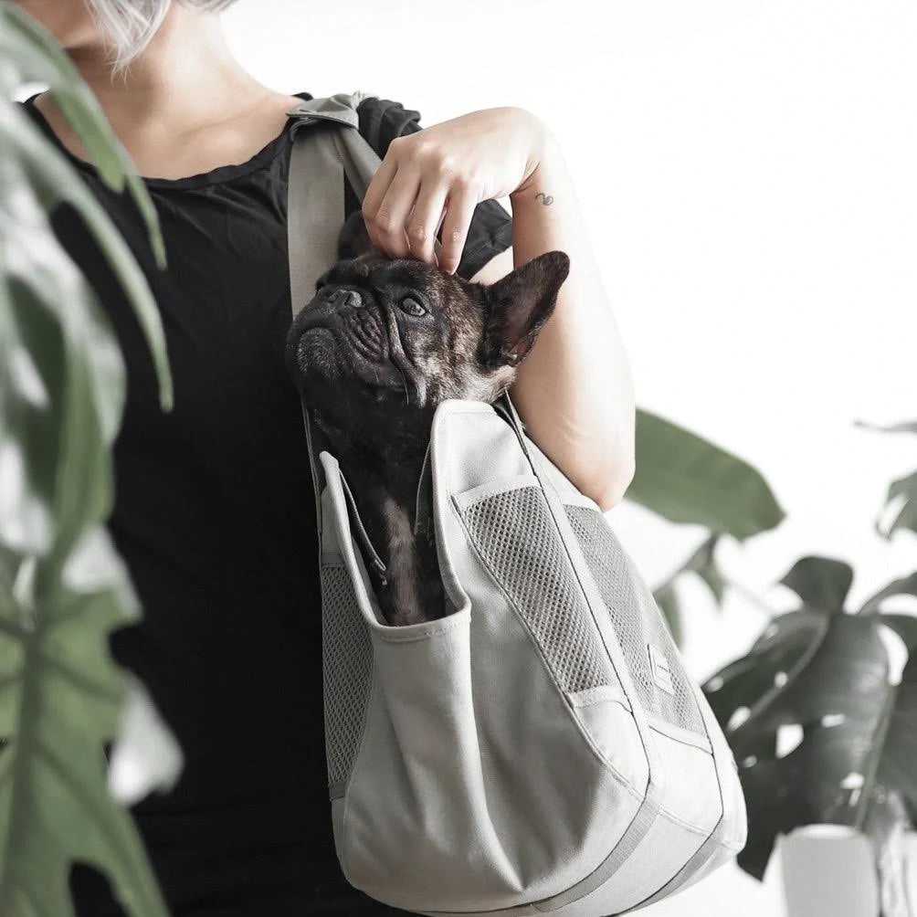 Lambwolf Collective - Subway Pet Carrier - Fern