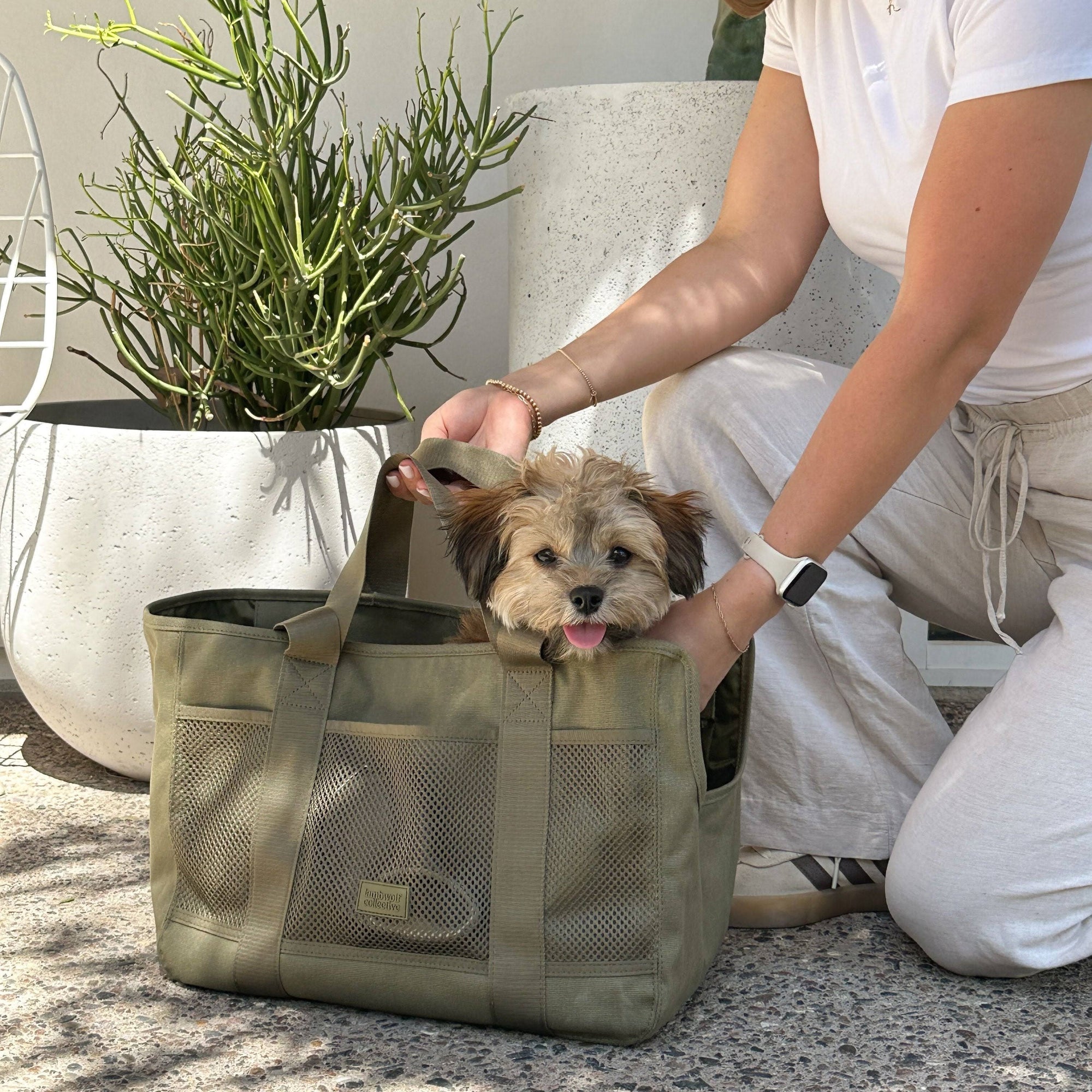 Lambwolf Collective - Subway Pet Carrier - Fern