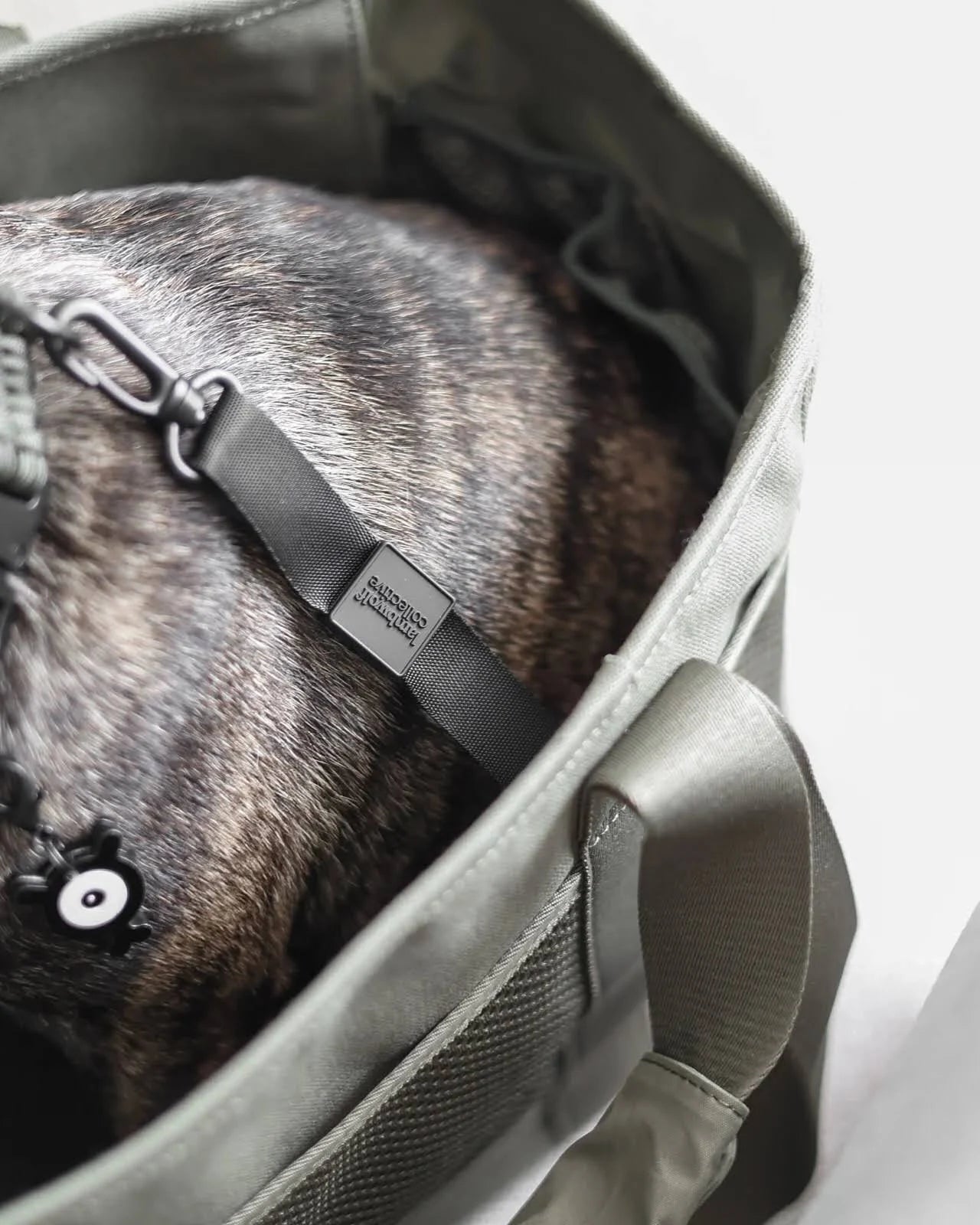 Lambwolf Collective - Subway Pet Carrier - Fern
