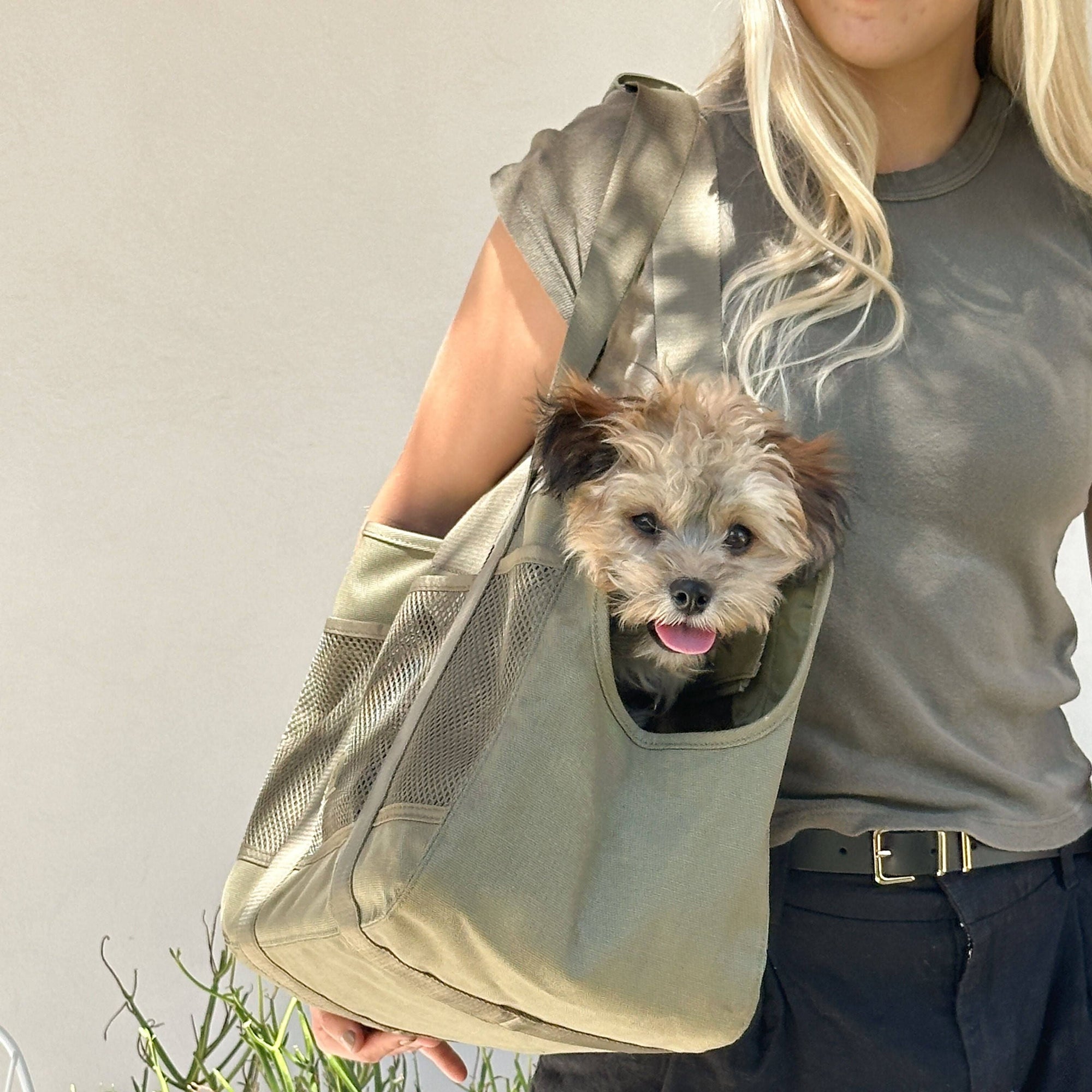 Lambwolf Collective - Subway Pet Carrier - Fern
