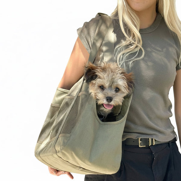 Lambwolf Collective - Subway Pet Carrier - Fern