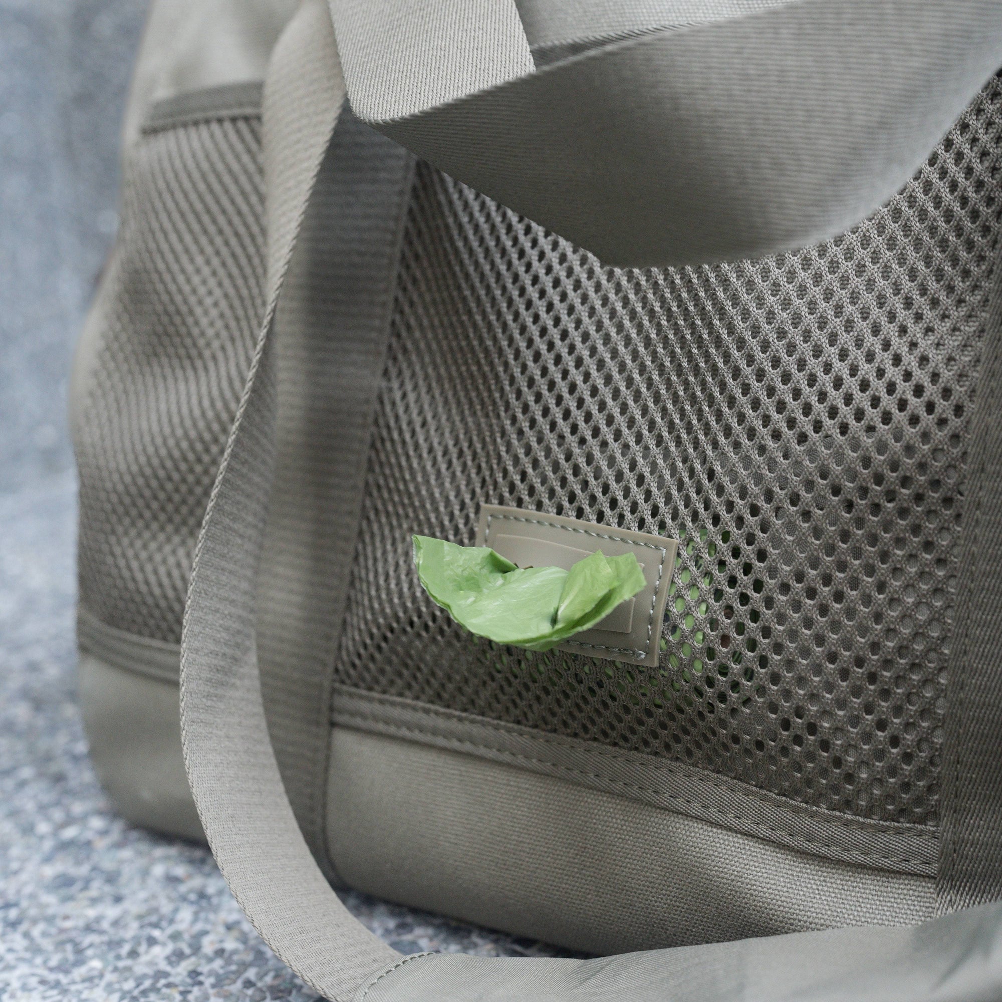 Lambwolf Collective - Subway Pet Carrier - Fern