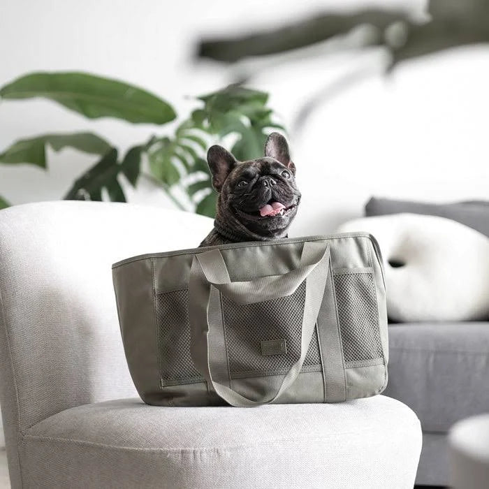 Lambwolf Collective - Subway Pet Carrier - Fern