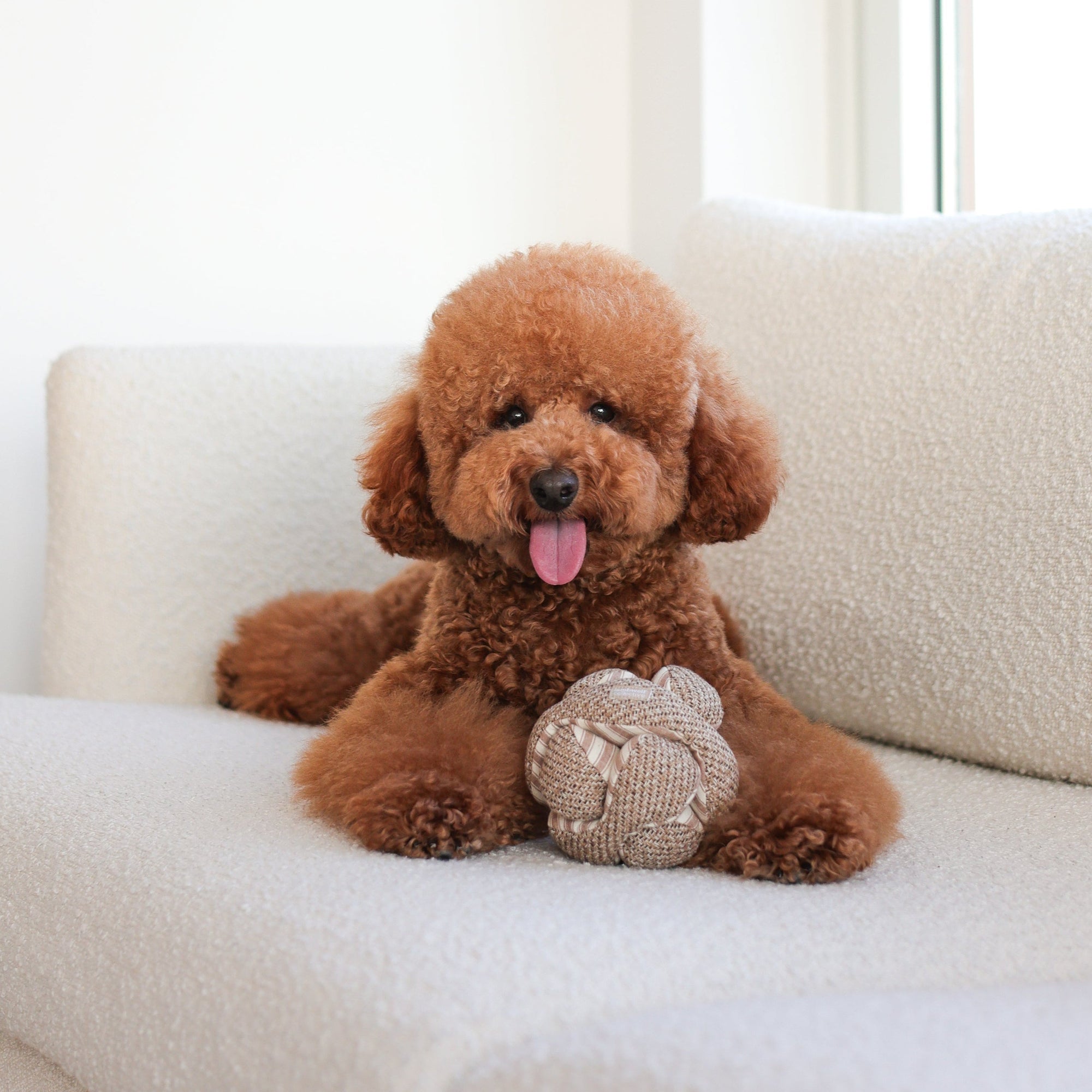 Lambwolf Collective - Mini Monti Enrichment Snuffle Dog Toy - Espresso