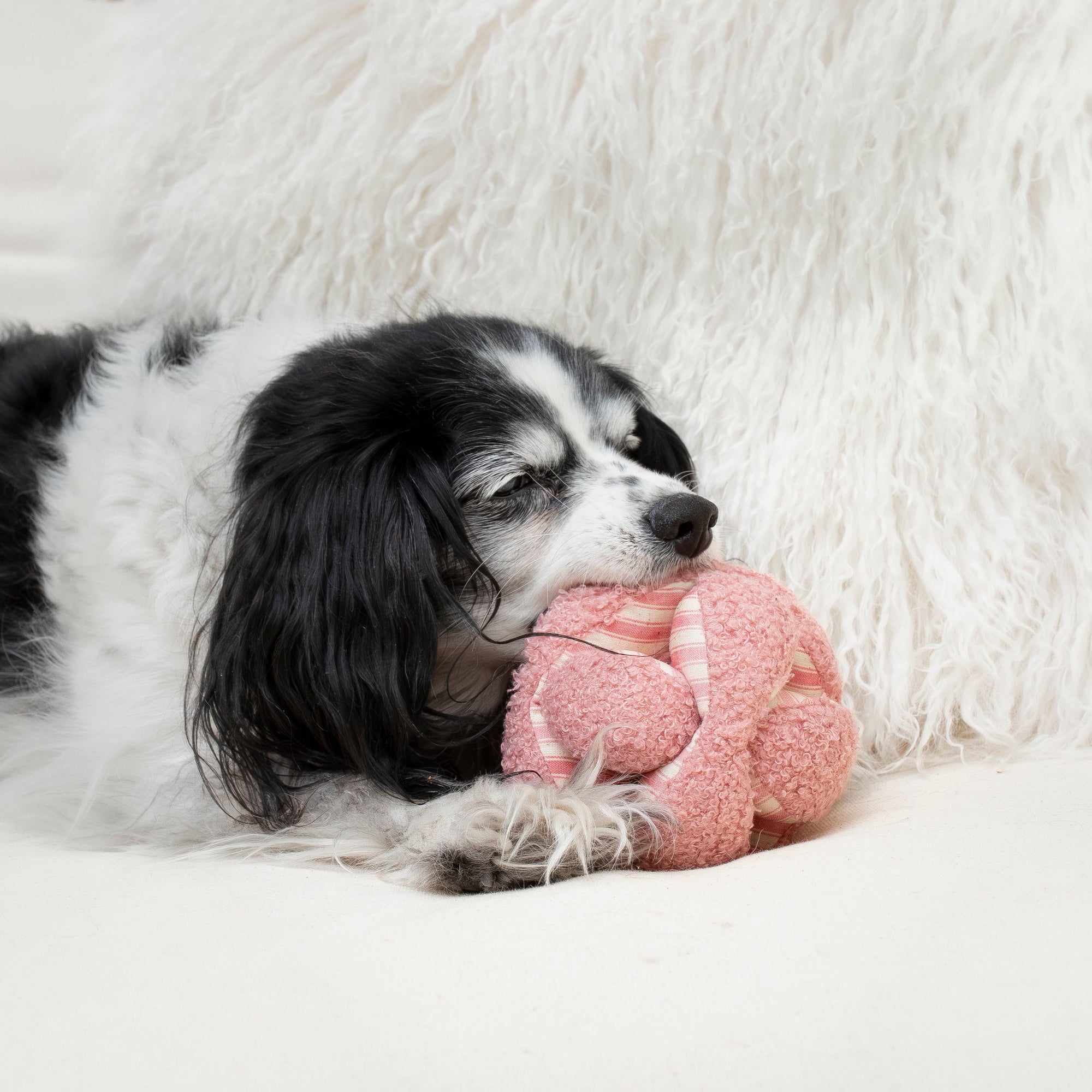 Lambwolf Collective - Mini Monti Enrichment Snuffle Dog Toy - Strawberry