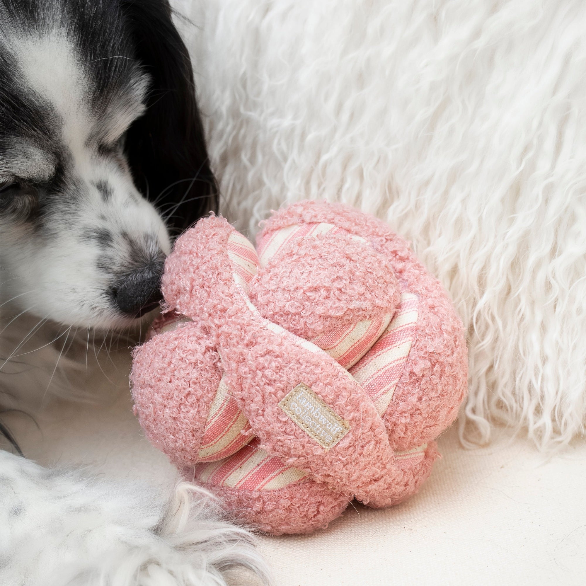 Lambwolf Collective - Mini Monti Enrichment Snuffle Dog Toy - Strawberry