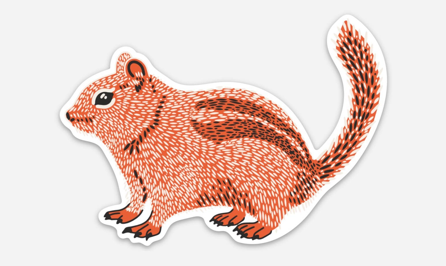 Golden Mantled Ground Squirrel Sticker - Space Camp