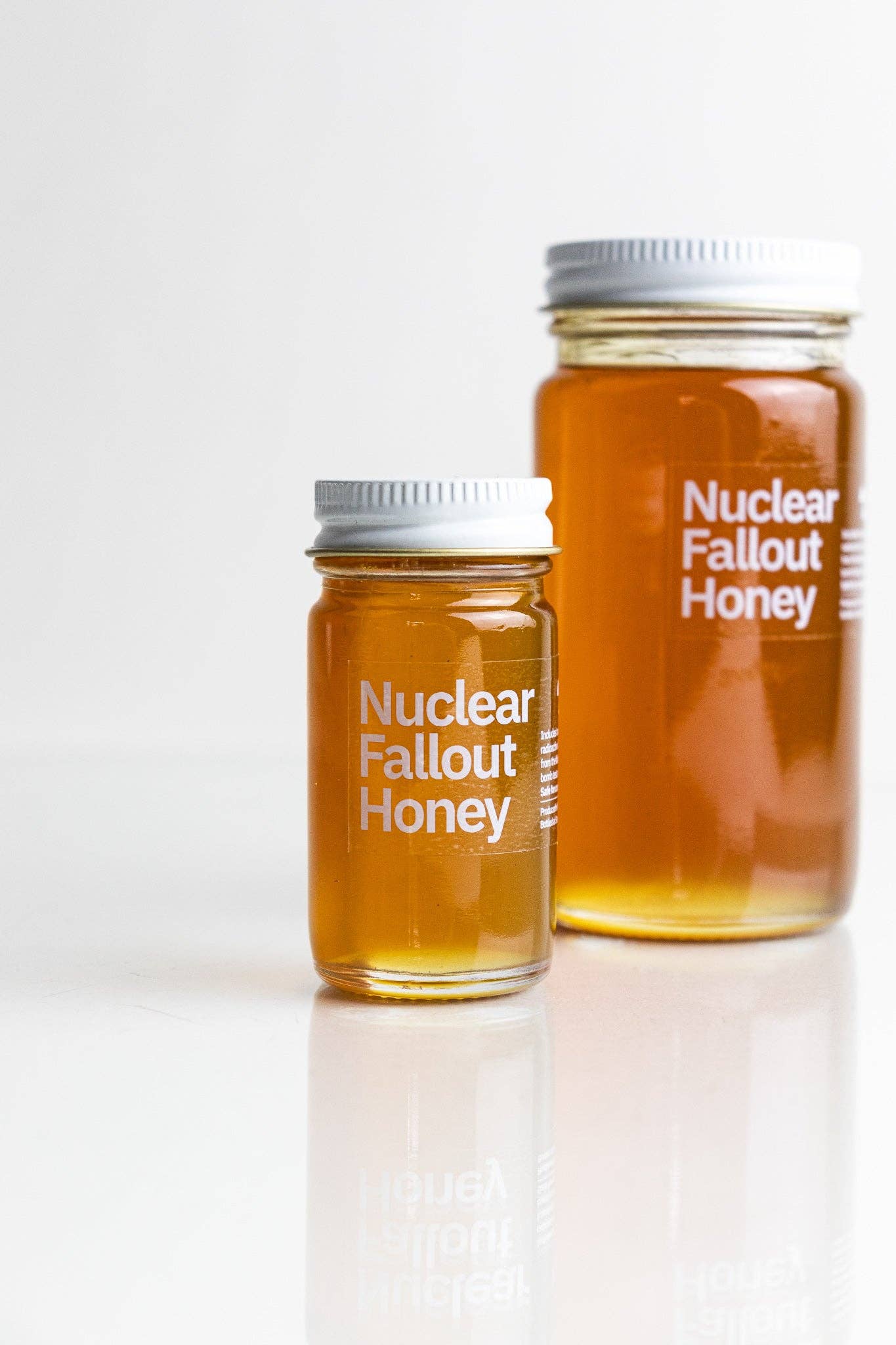 Nuclear Fallout Honey - Space Camp