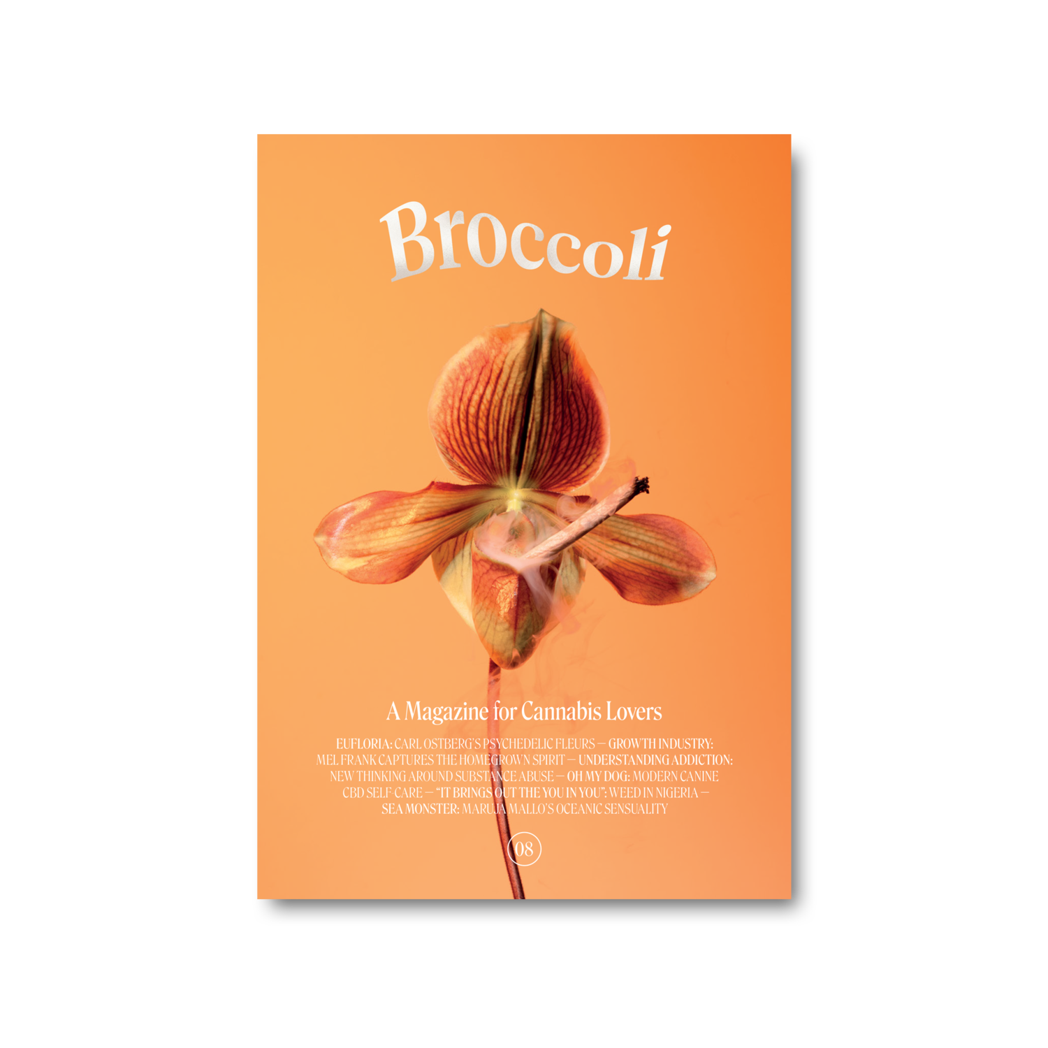 Broccoli Magazine - Issue 08 - Space Camp