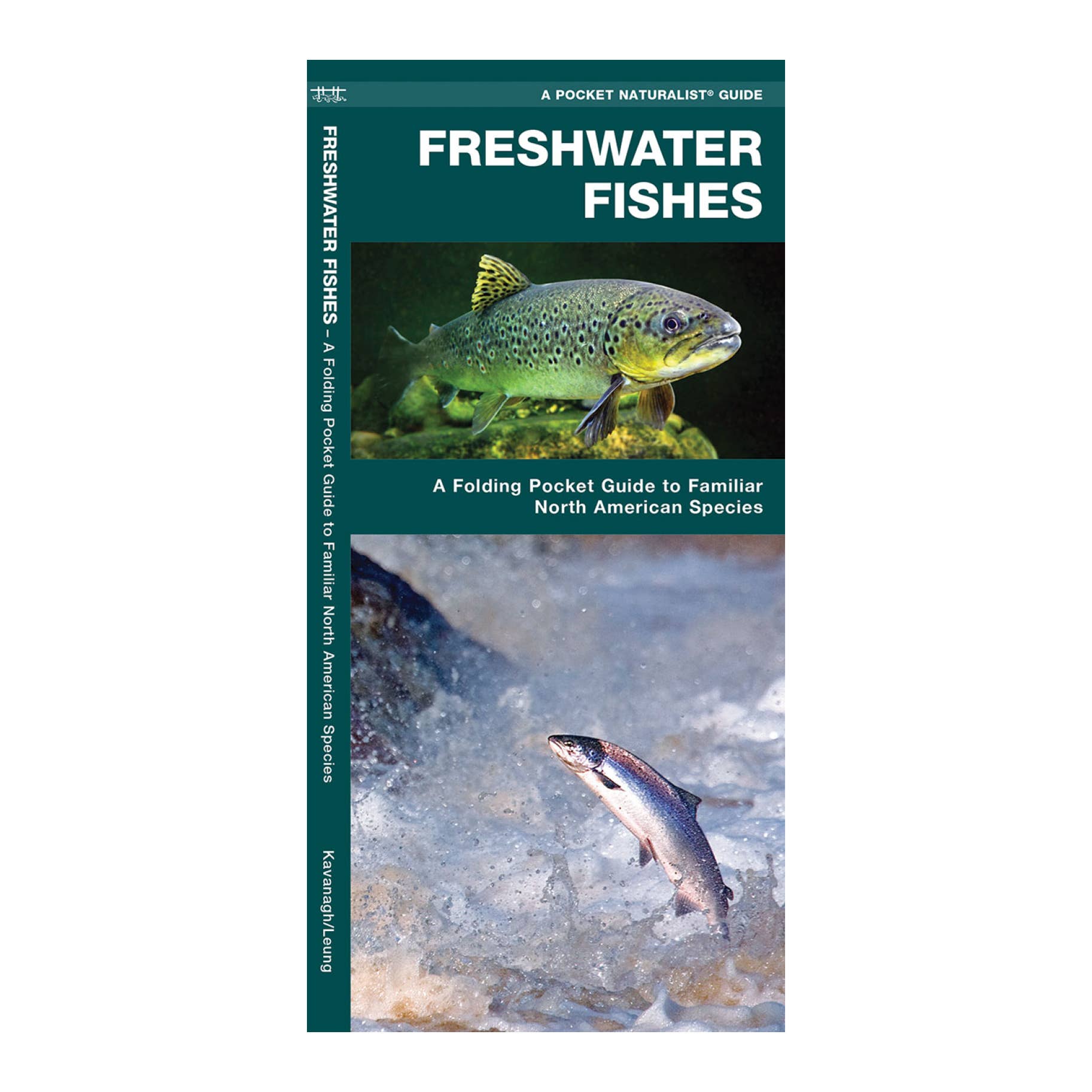 Freshwater Fishes - Space Camp