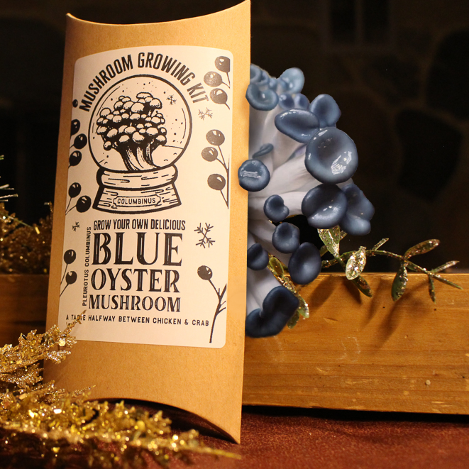 Blue Oyster - Mushroom Growing Kit - Space Camp
