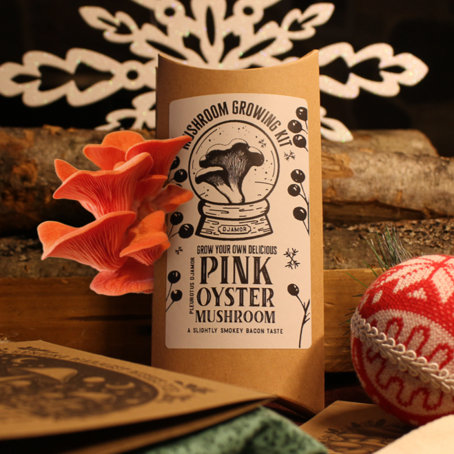 Pink Oyster - Mushroom Growing Kit - Space Camp