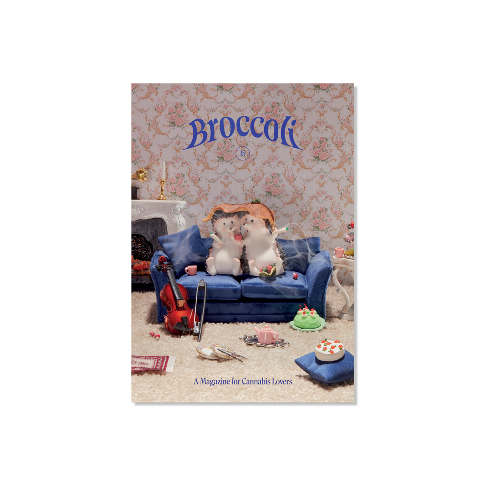 Broccoli Magazine - Issue 15 - Space Camp